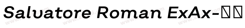 Salvatore Roman ExAx字体转换